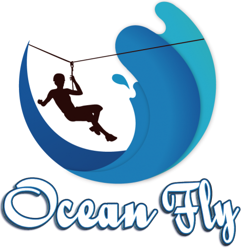 ocean-fly
